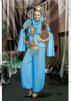 8418 Dreamgirl Costume, Harem Hottie Chiffon baby doll top with stunn